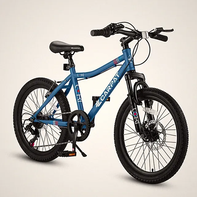 20 in Kids' Bike Boys Mountain Bike 7 Speed Teenager Kids' Bicycles Ages 6-12