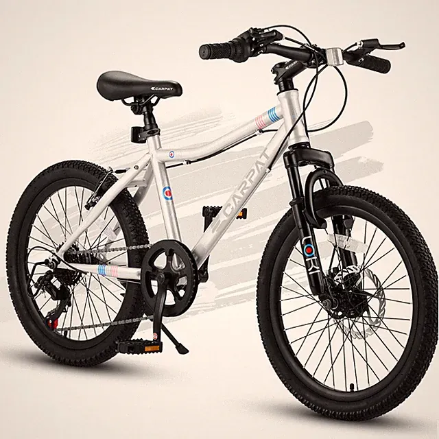 20 inch Kids' Bike, Mountain Bike Ages 8-12, 7 Speed Teenager Kids' Bicycles