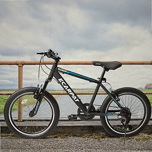 2024 Elecony 20'' Kids Bicycle Montain Bike Gear Shimano 7 Speed Boys and Girls