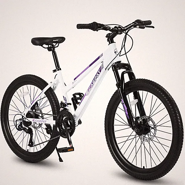 24 in Mountain Bike for Teenagers Girls, Shimano 21 Speeds with Dual Disc Brakes