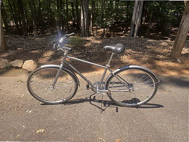 Americano Three City Bike: w/Shimano Nexus 3-Speed Internal gear Hub 17” Grey